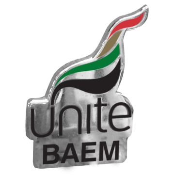 BAEM Flame Badge 