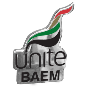BAEM Flame Badge 