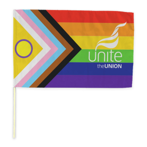 LGBT Flag - Size 80 x 50cm